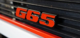 Kühleremblem G65