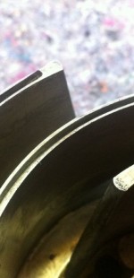 dino s 20121201 1995533752