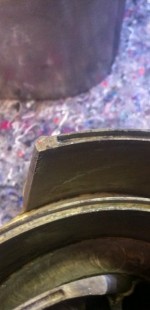 dino s 20121201 2018885474