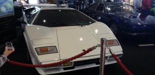 17022339 1448396748535725 2299405033948968712 n