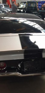 17098238 1448397395202327 8482506696881023748 n