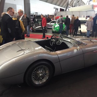 17098615 1448401091868624 6337512639004004828 n