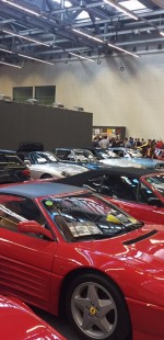 17103523 1448397031869030 2006368625360462577 n