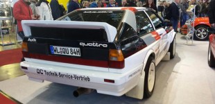 17155463 1448396758535724 4490227247948601555 n