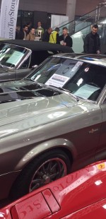 17155780 1448401938535206 3508815934837578443 n