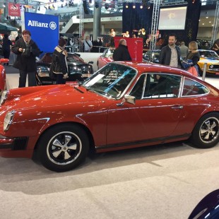 17156288 1448401575201909 6457619367686394565 n