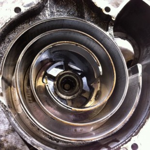 Auslassh&auml;lfte mit herausgerutschter Dichtleiste